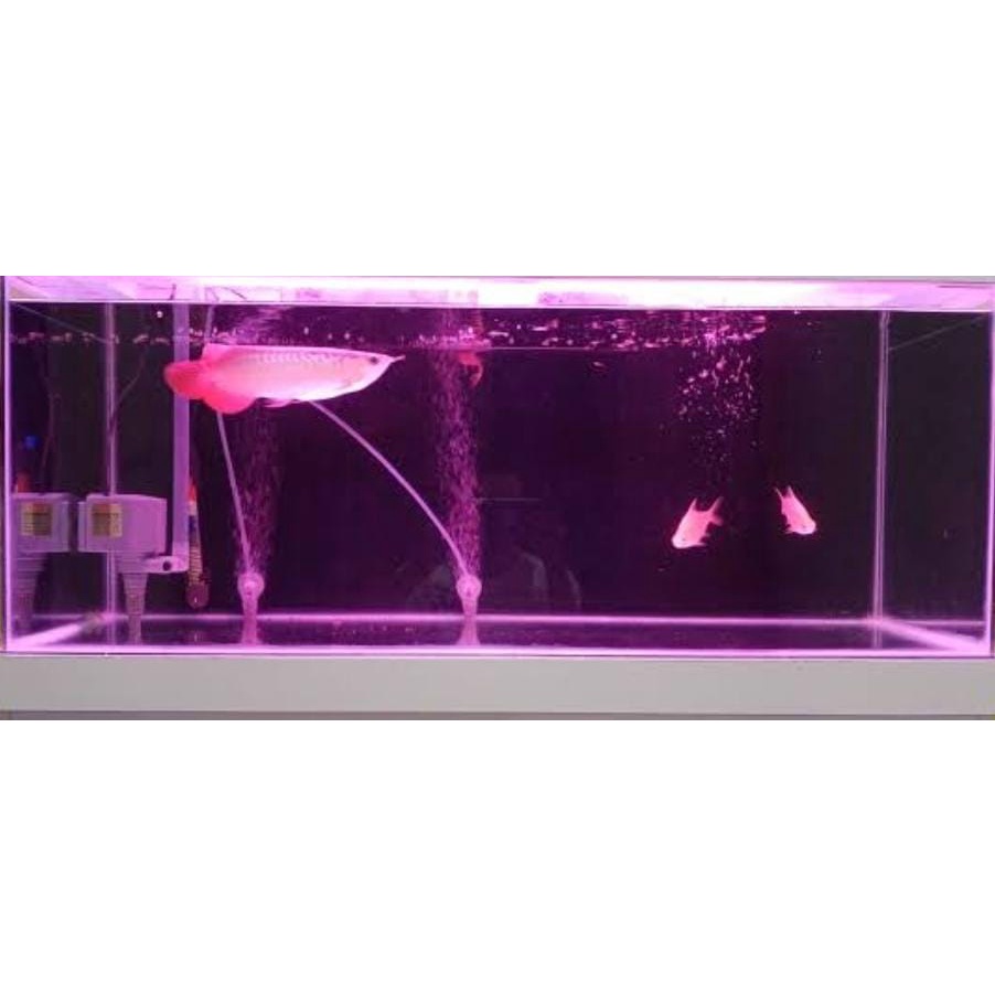 Lampu aquarium 40cm WARNA MERAH (PINK) / Lampu Led / Lampu celup / Lampu Akuarium