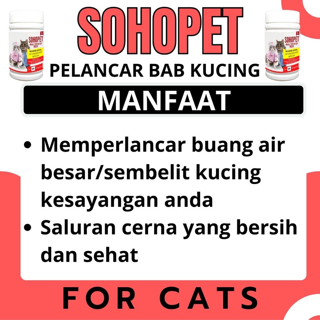 Obat Sembelit Kucing Susah BAB Anjing Konstipasi BAB Eceran Terbukti Ampuh dan Aman Untuk Kitten FEZONE