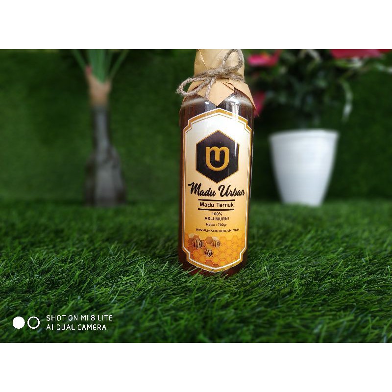 

madu urban 700g