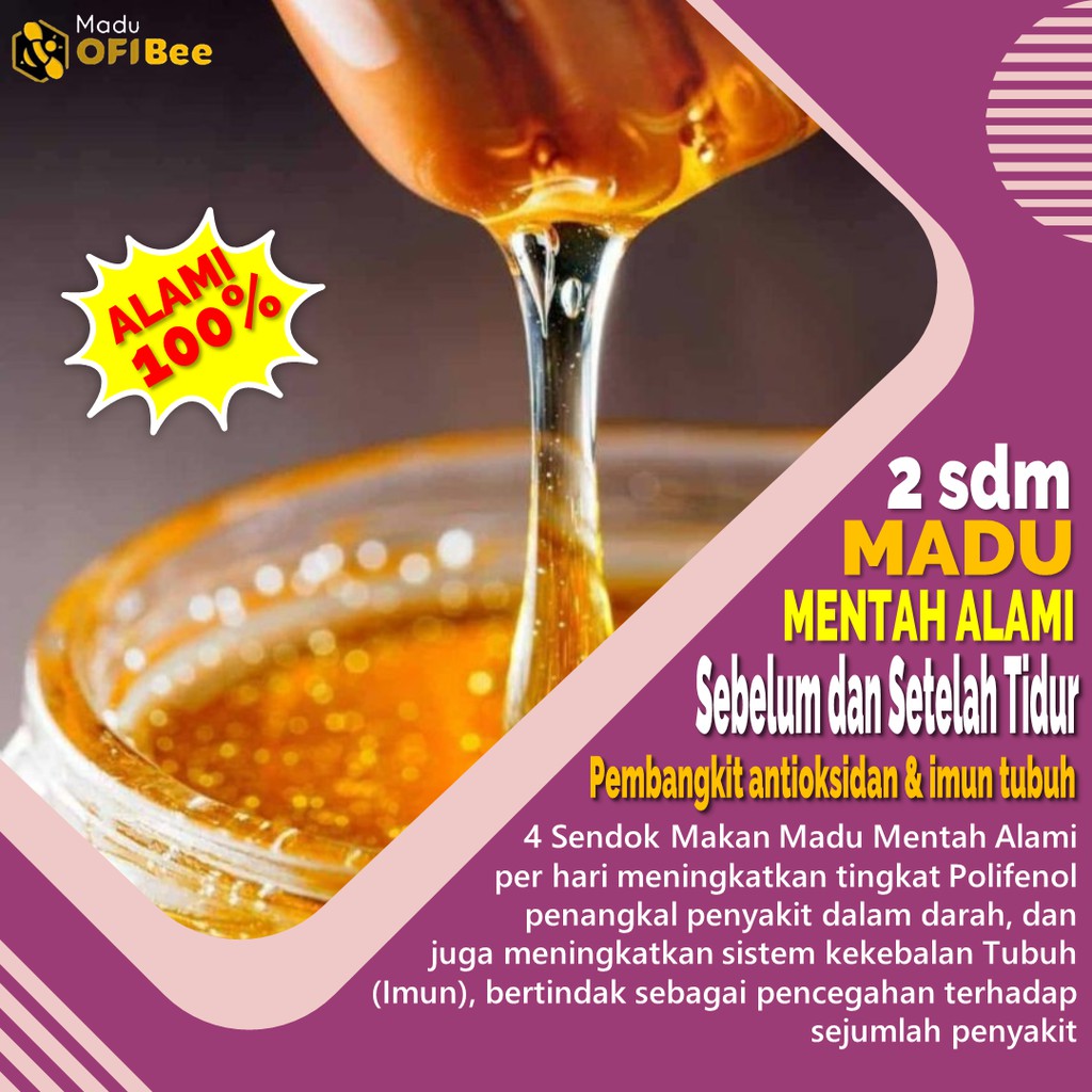 [330 gram] Madu Murni Asli Nektar Bunga | Madu Mentah Alami Madu OFi Bee 5 botol Harga Ekonomis