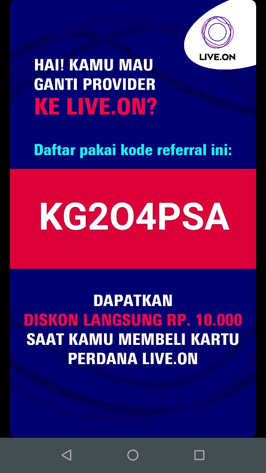 Benih Bambu Hoki Sri Rejeki Ukuran 30cm