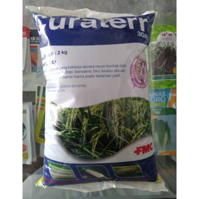 Curater 3 GR insektisida tanaman berair