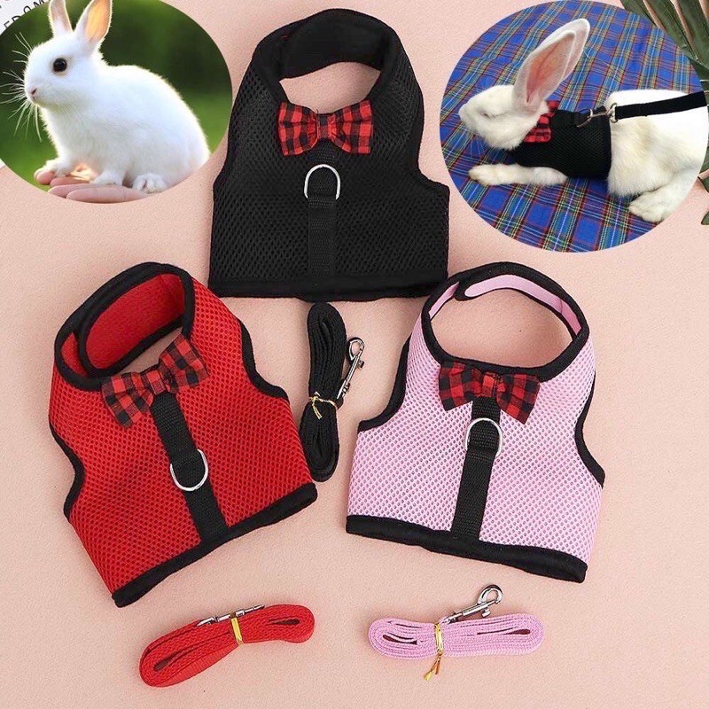 EXOTICGOODS ROMPI KELINCI TALI TUNTUN KELINCI HARNESS KELINCI ROMPI KUCING TALI TUNTUN KUCING HARNES KUCING BAJU