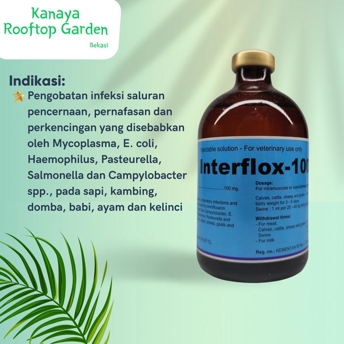 Tokki | Interflox-100 Obat Flu & Pencernaan Kelinci Kekinian Terlaris