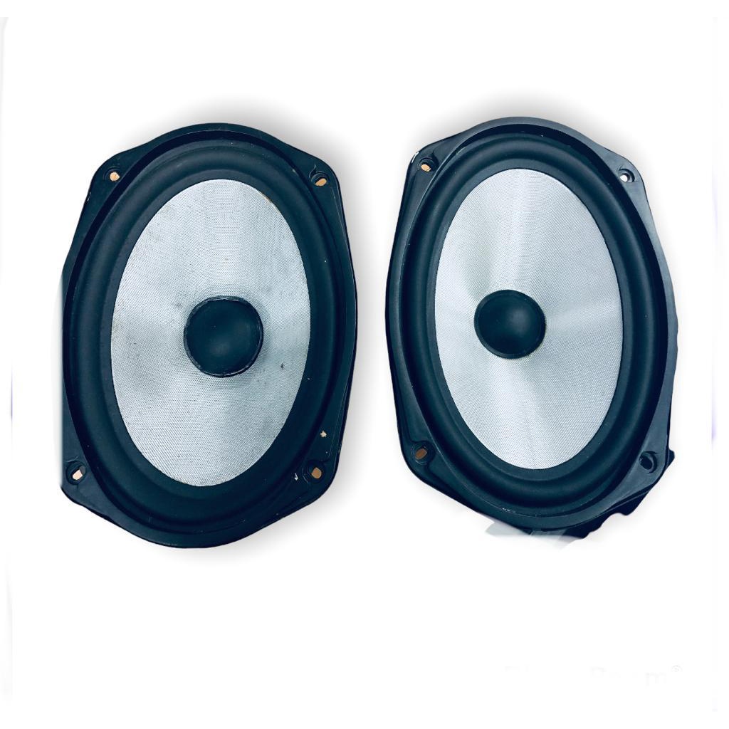 speaker oval 2way 300watt