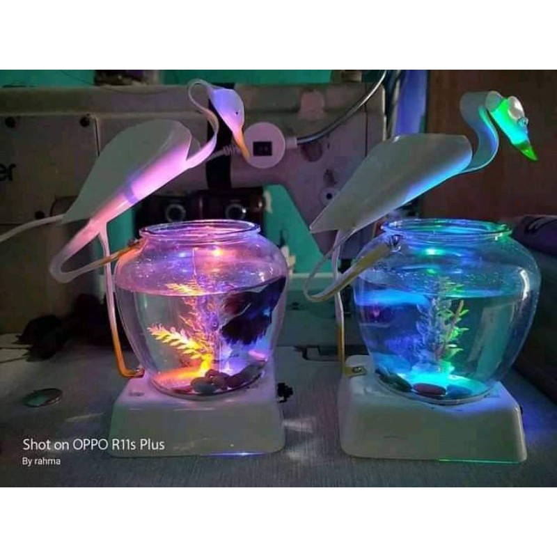 AKUARIUM AQUARIUM MIN IKAN HIASI / AQUARIUM IKAN CUPANG /AQUARIUM IKAN GUPY AQUARIUM NYALA