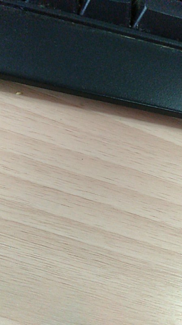 Rice Box/ Tempat Beras/kotak Beras 5 Kg