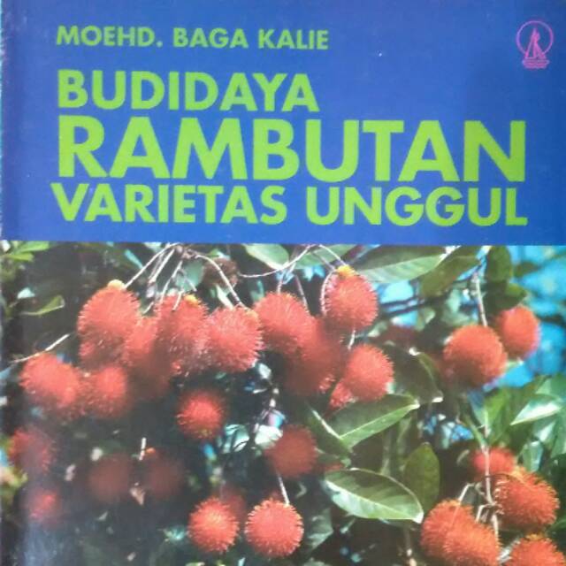 BUDIDAYA RAMBUTAN VARIETAS UNGGUL