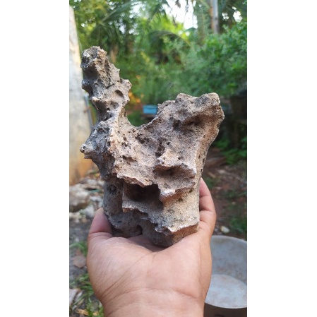 batu karang gunung realpict