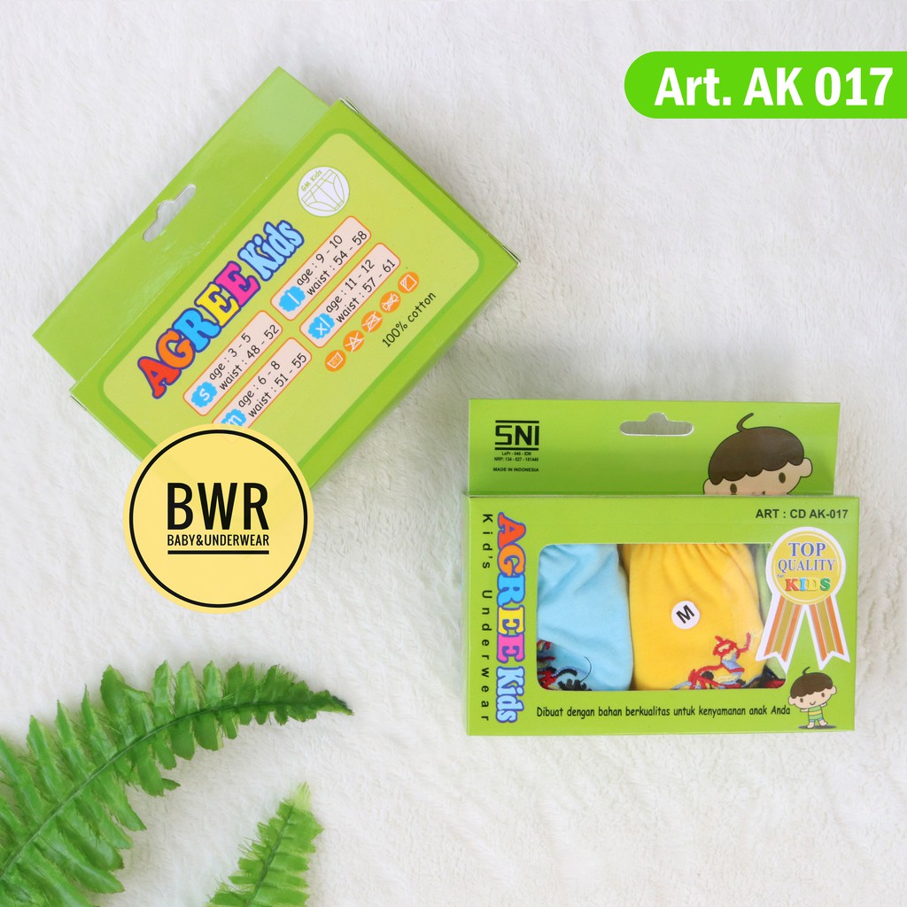 [ 3pc ] Cd Agree Kids AK. 017 Hijau | Celana Dalam Anak Cowok - Bwr