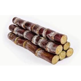 

Ready Batang Stek tebu ireng/ tebu hitam segar 1kg