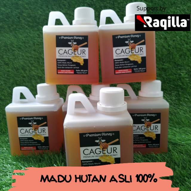 Madu Asli Madu Hutan Murni asli / Premium Honey isi 600 gram