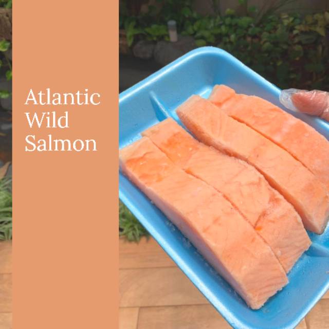 

Atlantic Wild Salmon/Salmon liar Atlantic. 500g/pak