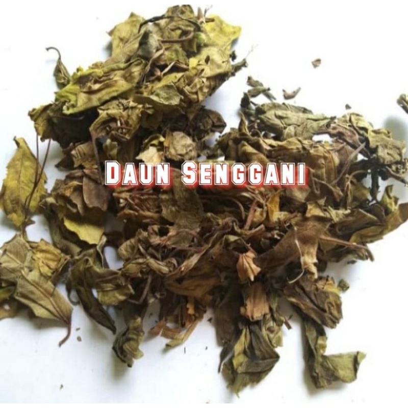 

Daun kemanden 500gr / Senggani kering