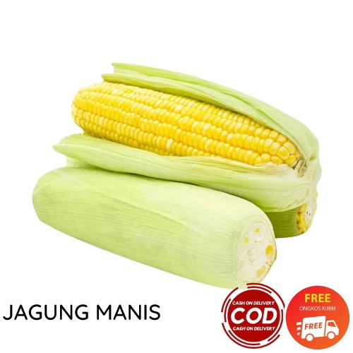 JAGUNG MANIS