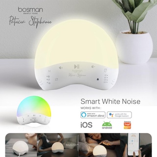Bosman Patricia Stephanie - Smart White Noise | Smart Home | LED
