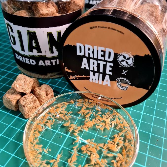 ARTEMIA DEWASA KERING (GIANT DRIED ARTEMIA 100% SWASTI FARM X FO 35g)