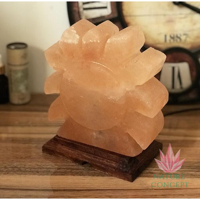 Himalayan Salt Lamp Lampu Kristal Garam Himalaya SUN Shape (RARE Item)
