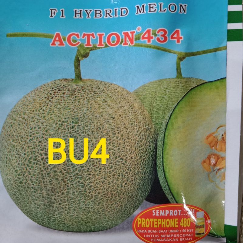 Benih Buah Semangka Merah Kuning Melon Pepaya California Timun Apel Suri Blewah Terong Belanda-BU4 Melon