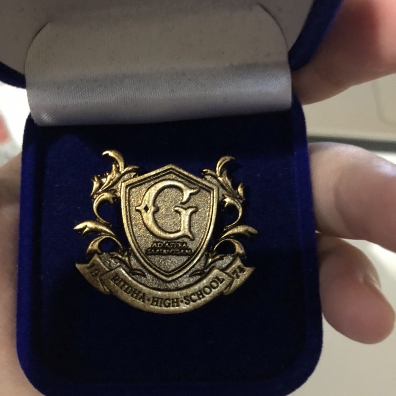 OFFICIAL PIN BADGE THE GIFTED