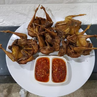  Daging Burung Puyuh  Ungkep Ungkeb Siap Goreng Shopee 