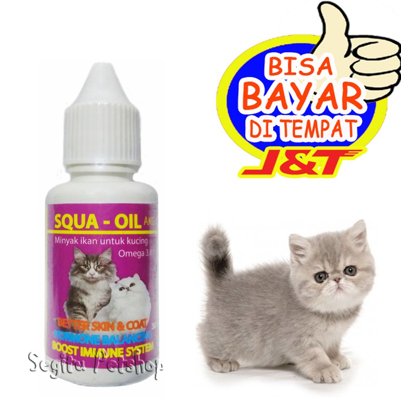 Minyak Ikan Kucing Vitamin Bulu Kitten Rontok Cair Fish Oil Squa Oil Shopee Indonesia