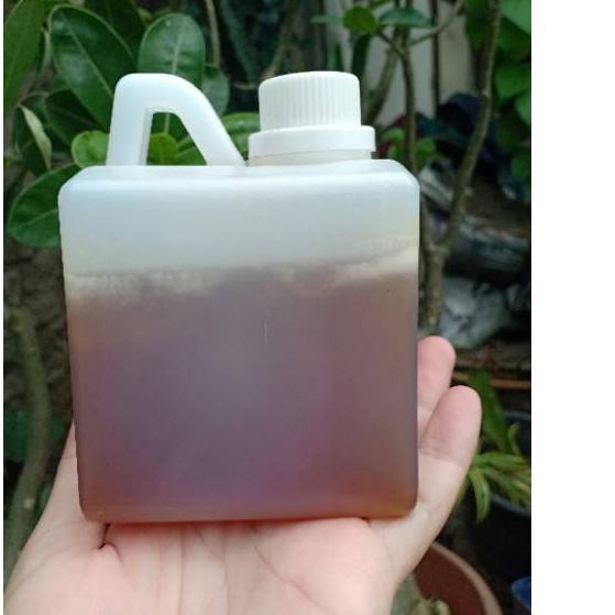 

Diskon!! (hhg-655) madu multi flora 500gr