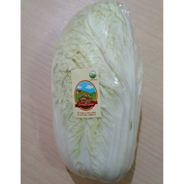 

Sawi Putih Organik || 1000gr || Chinese Cabbage Fresh Organic