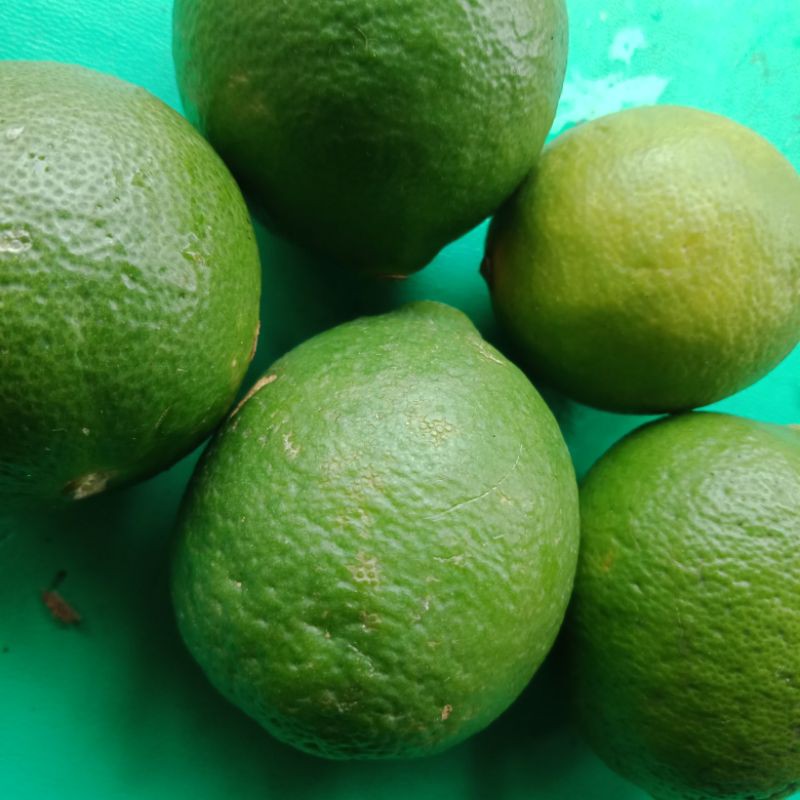 

Jeruk nipis 100gr