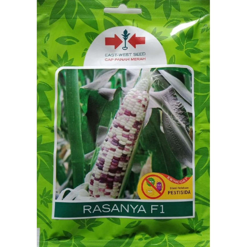 ISI 200 BIJI - BENIH BIBIT JAGUNG MANIS KETAN RASANYA F1 -BENIH JAGUNG