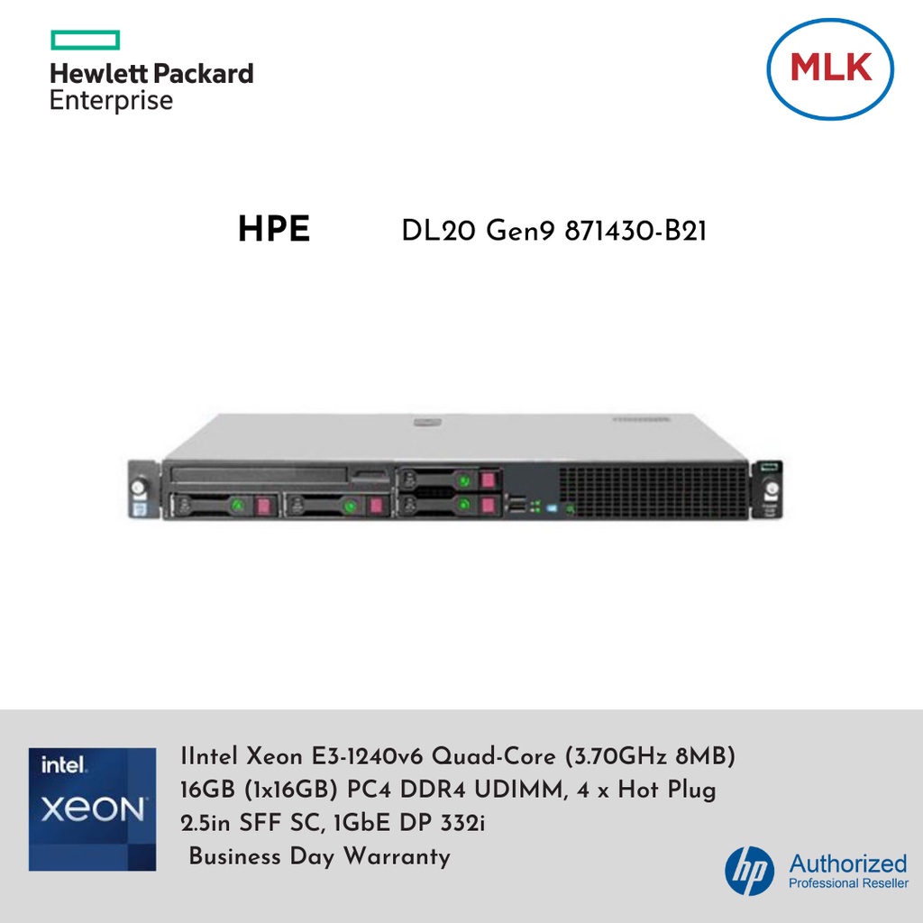 Server HPE DL20 Gen9 871430-B21 FREE HP 80GB SSD SC ENT
