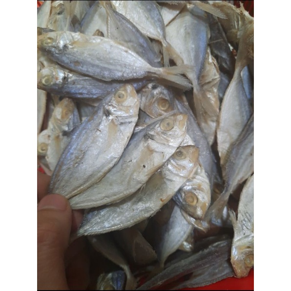 

ikan asin selar peda selar peda tipis