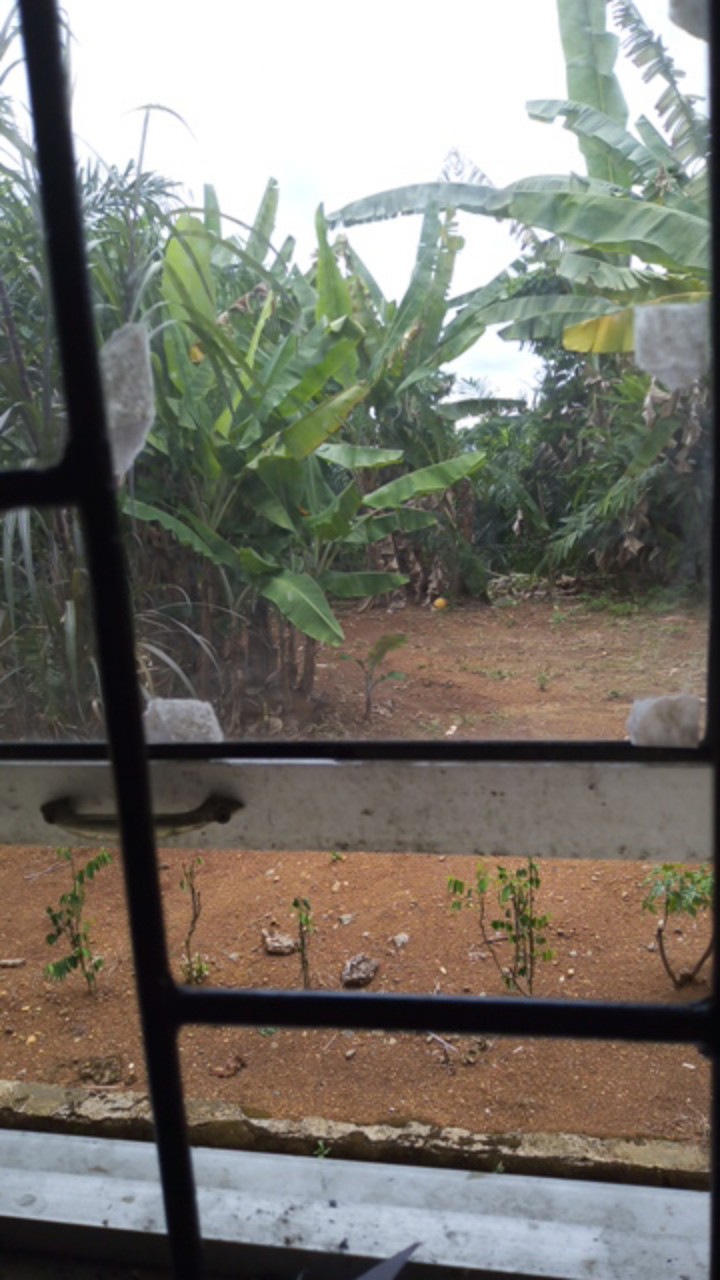 Kemeja Batik Pria Lengan Panjang Size M L Xl Xxl  Bswart Batik Hrb026 Kenongo Hem