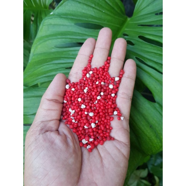 Pupuk Slow Release Merah