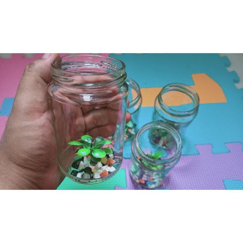 PAKET AQUARIUM BOTOL MINI UNIK/AKUARIUM GELAS IKAN CUPANG/BOTOL UNIK