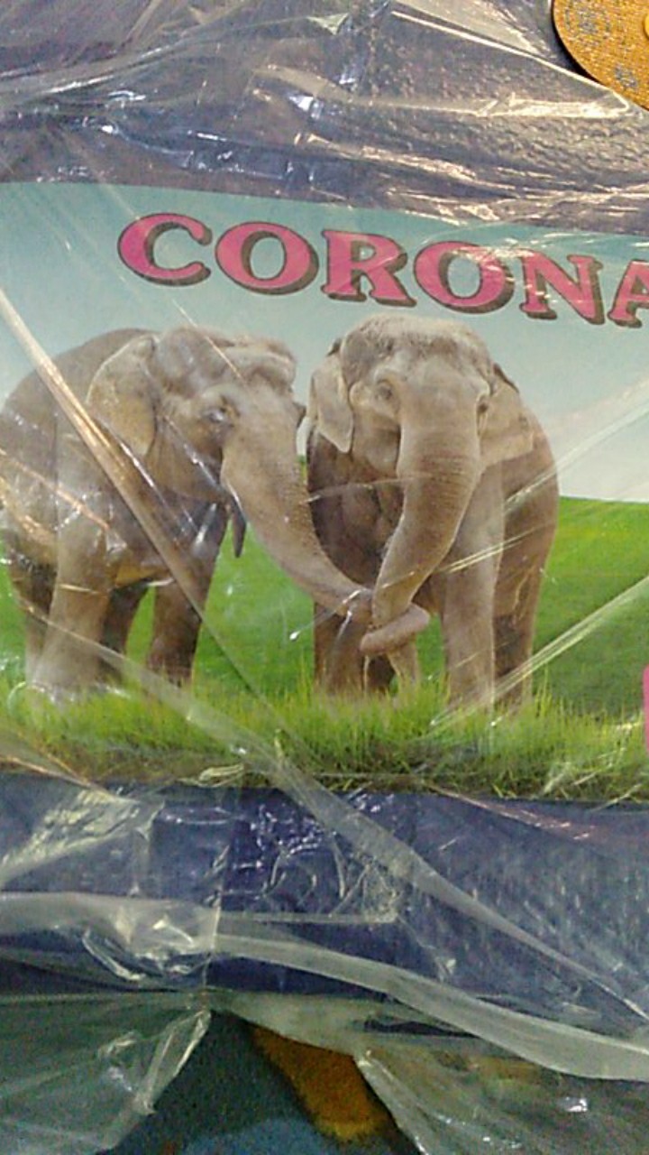 Terpal A2 3x4 Meter Corona 2gajah (b/s) Terpaulin Terpal Plastik Terpal Kolam Ikan Terpal Lembaran