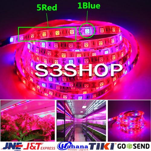 Grow Led Light Strip Waterproof Anti Air Hidroponic Hydroponik Aquascape Full Spectrum