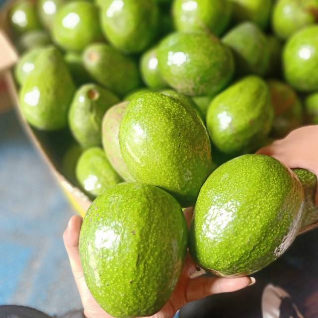 

ALPUKAT MENTEGA SUPER