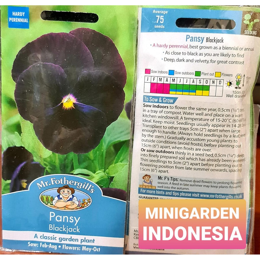 Benih Bunga PANSY BLACKJACK PACK 75 BIJI bibit bunga import f1 Mr.Fothergill's