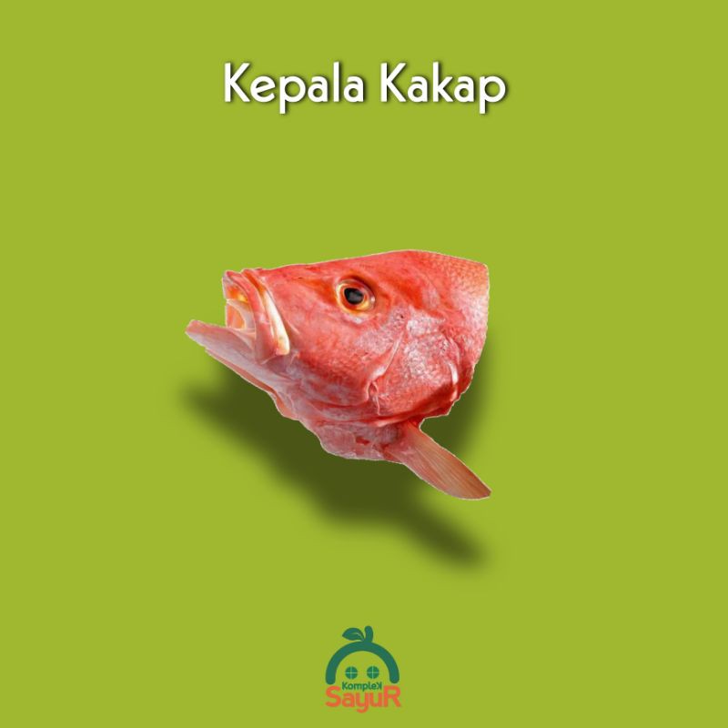 

Kepala Kakap Merah Segar Kualitas Pilihan Terbaik