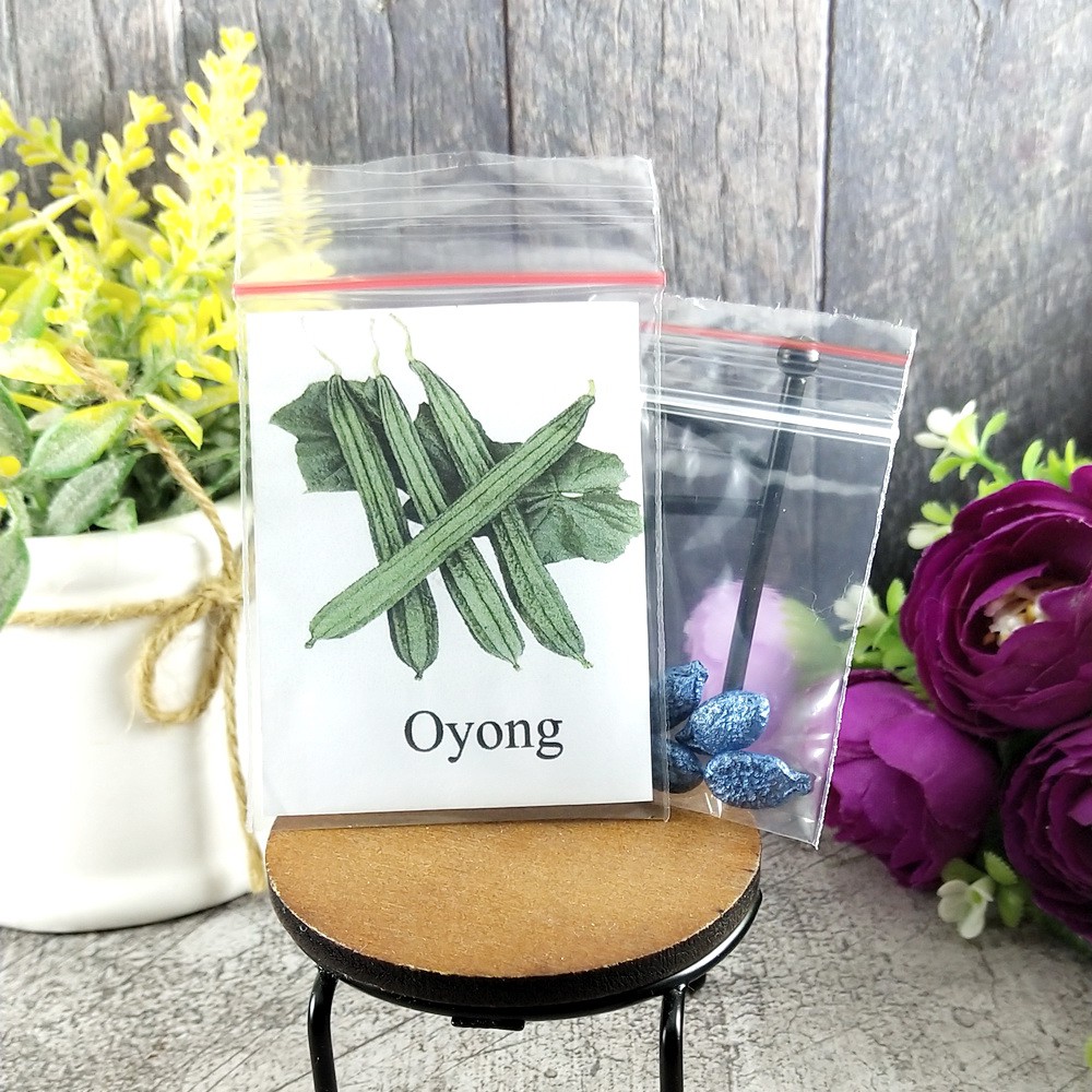 5 Seeds - Oyong Gambas Sayur Biji Bibit Benih Repack - SR0006