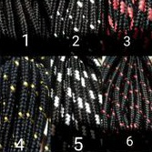 

Tali Prusik 5mm/Tali paracord/Tali gunung meteran/permeter