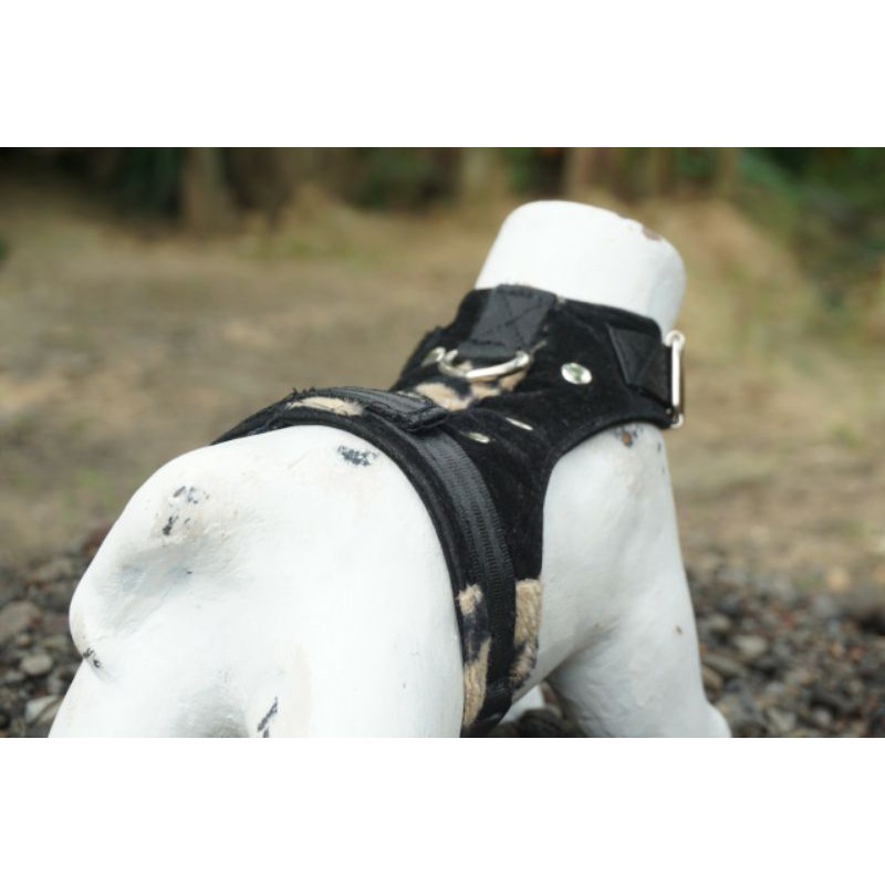 Rompi harness dengan motif black leopard untuk MUSANG, KUCING, OTTER, KELINCI FREE TALI TUNTUNAN