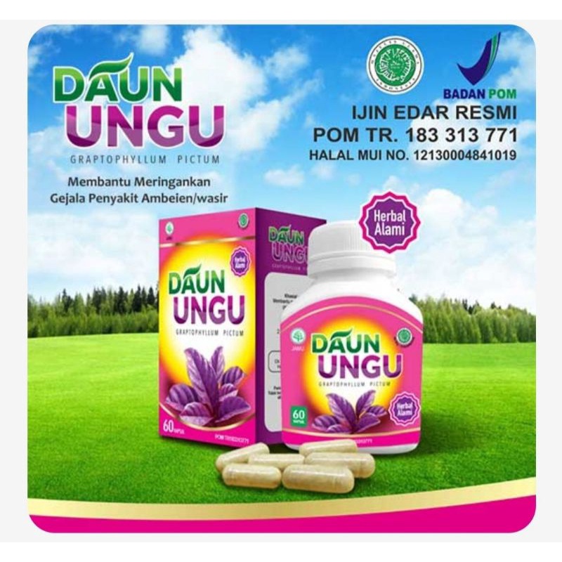 

Kapsul Daun Ungu Premium