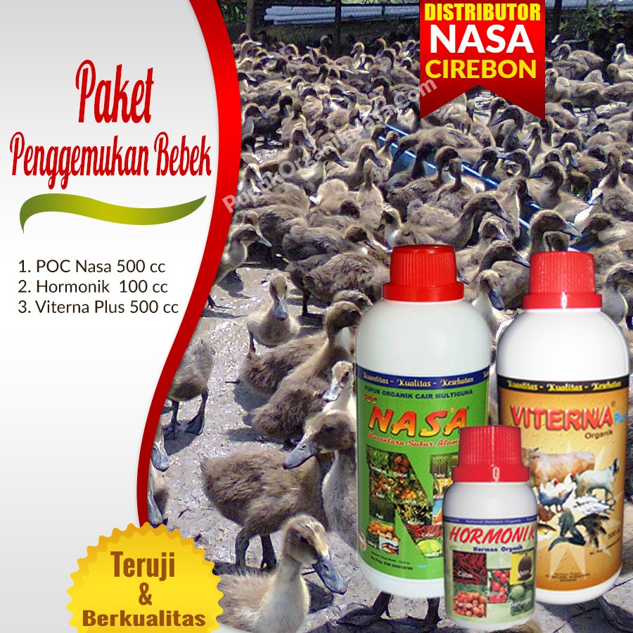 Paket Bebek Nasa ( Viterna Hormonik POC Nasa )