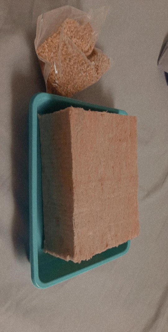 Nampan / Baki Semai Hidroponik Medium