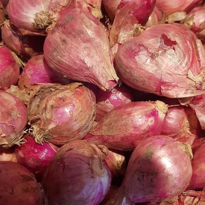 

Siap Kirim Bawang Merah Ukuran Besar 1 Kg