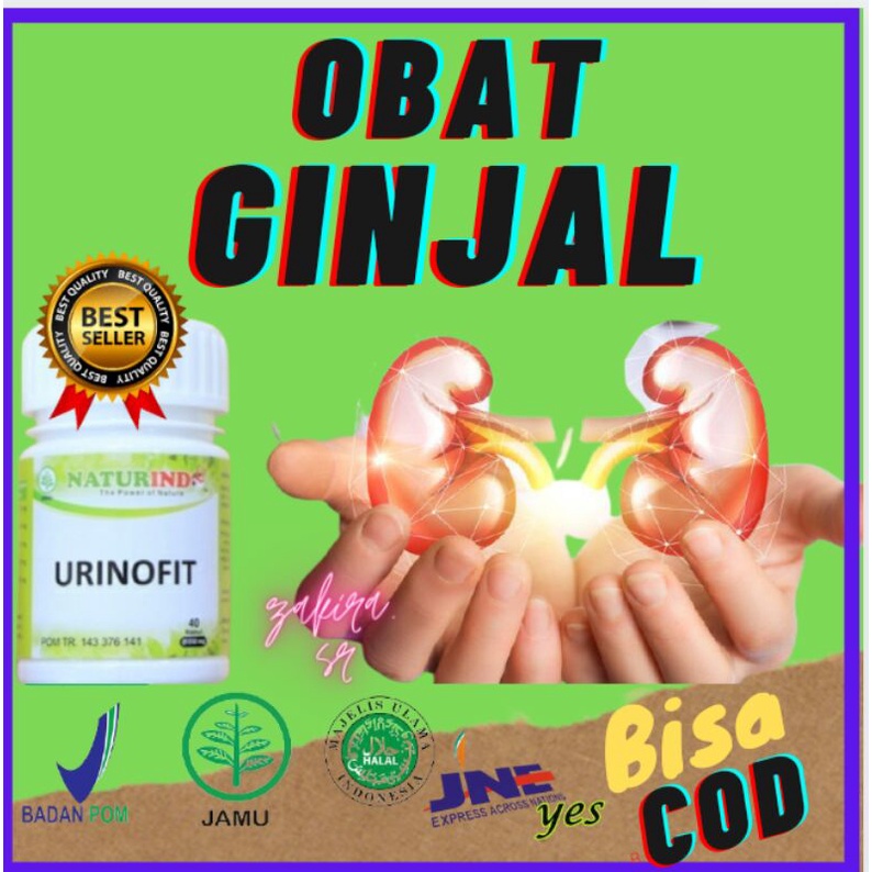Obat Ginjal Infeksi Saluran Kencing Obat Ginjal Obat Anyang Anyangen Urinofit Naturindo Herbal Ampuh