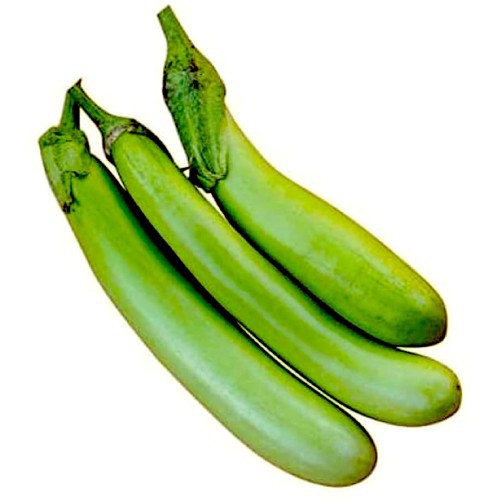 

Terong Hijau