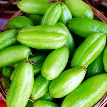 

belimbing wuluh per 100gr